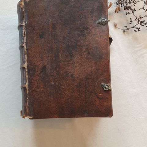 Sjelden gammel bibel // BIBLA // Gottmann Fredrich Rifel 1738