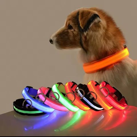 LED Hundehalsbånd Oppladbart / Refleks & Halsbånd til Hund