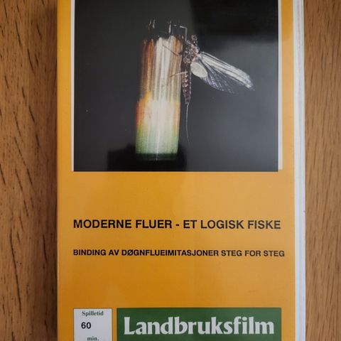 Moderne Fluer - Et logisk fiske