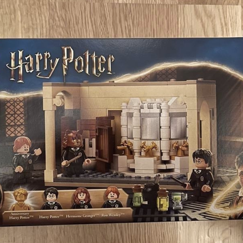 Lego Harry Potter 76386 Hogwarts polyjuice potion mistake