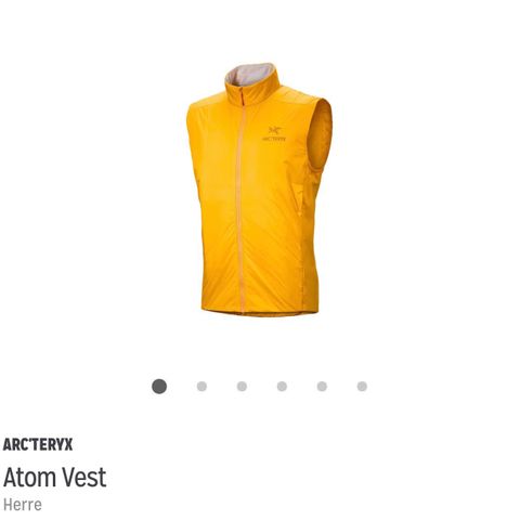 Arcteryx Atom Vest