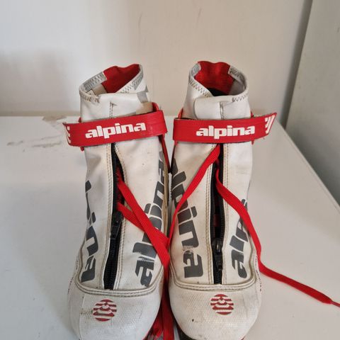 Alpina elite junior skate 38