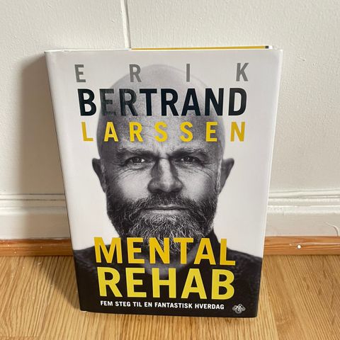 Erik Bertrand Larssen: Mental Rehab