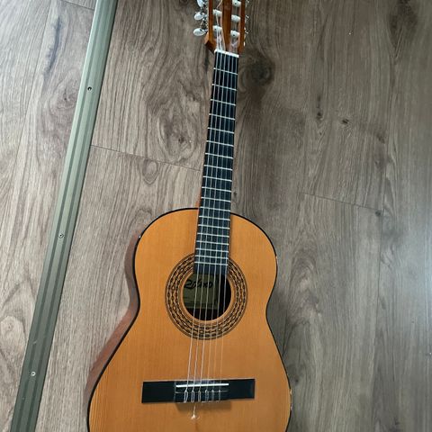 Gitar