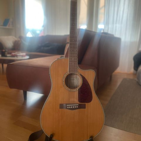 Fender Acoustics