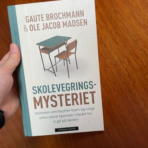 Skolevegringsmysteriet av Brochmann og Madsen