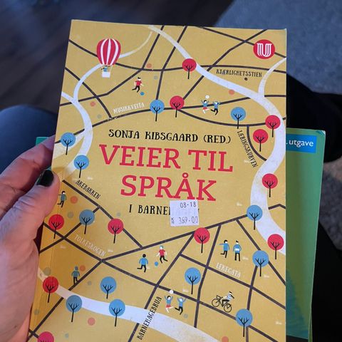 Barnehagelærer studievaner