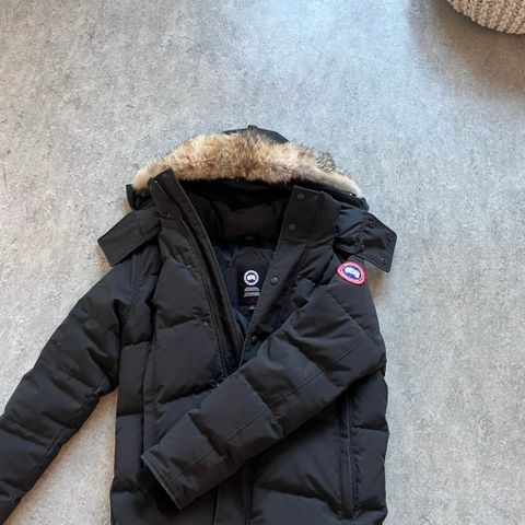 Canada goose wyndham