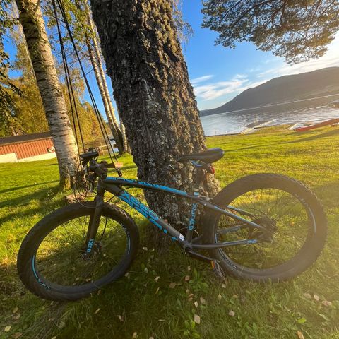 Xeed Fat Bike