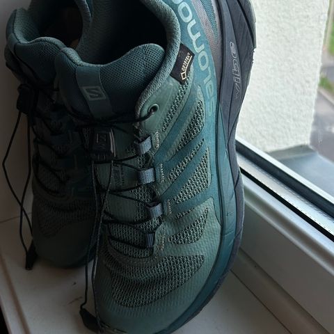 Salomon Sense Ride GTX Vibe