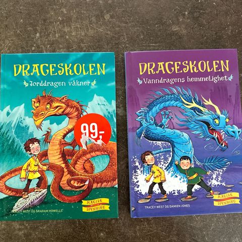 Drageskolen 1 og 3 selges