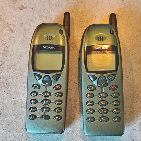 2 stk Nokia 6110