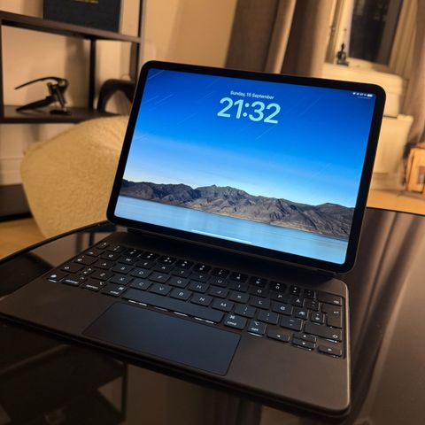 iPad Pro 11 (2. gen) Wi-Fi /Cellular 256GB + Magic Keyboard