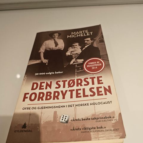 Den største forbrytelsen. Marte Michelet