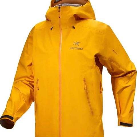 Arcteryx Beta LT Gore-Tex jakke Men str L . Som ny