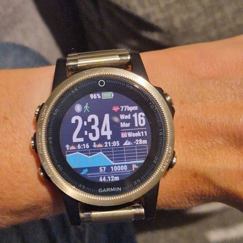 Garmin Fenix 5S Sapphire chrystal