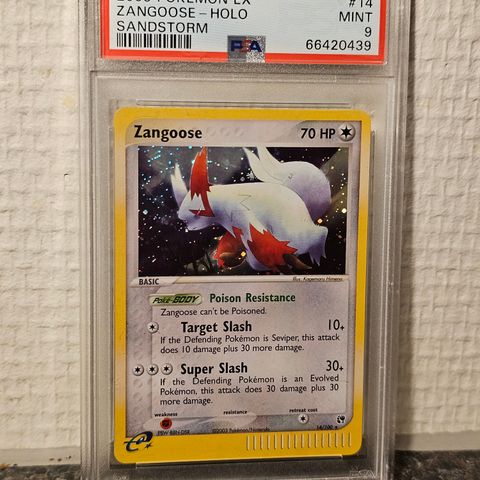 Pokemon vintage