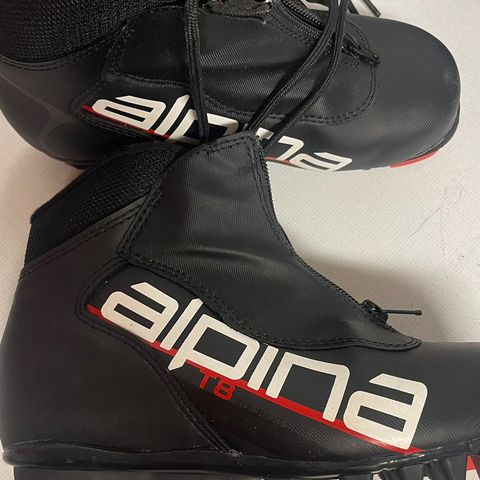 Alpina skisko