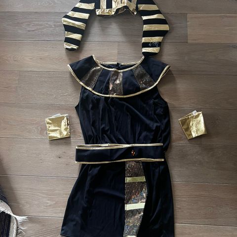 Halloween Kostyme pharaoh men’s