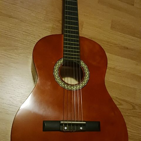 Gitar med utstyr