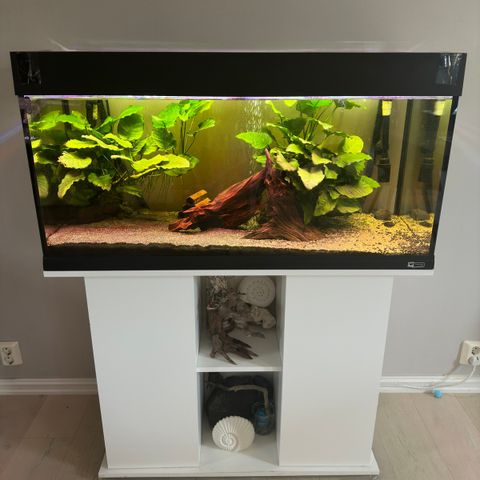 190L ferplast akvarie m/innhold