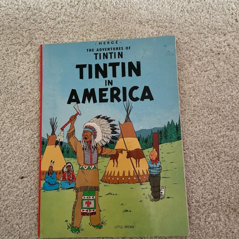 Tintin in America