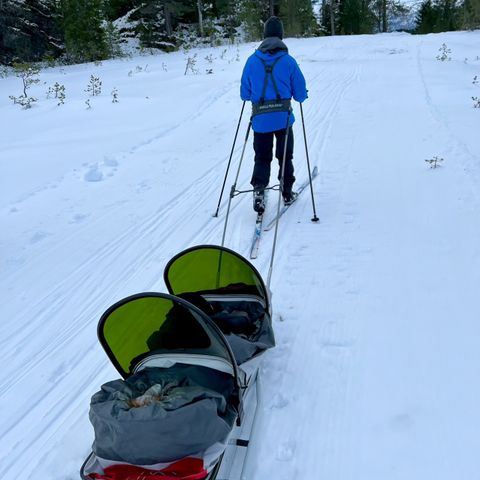 Fjellpulken søsken/dobbel