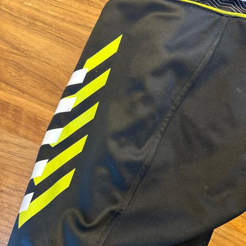 Alpin race shorts