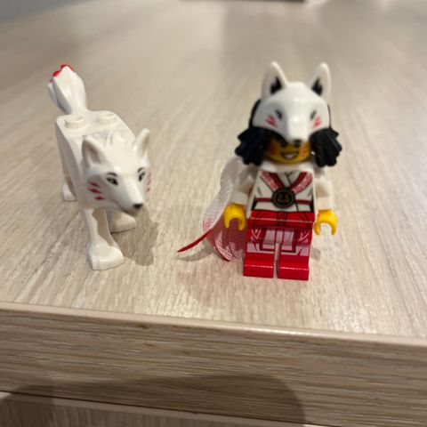 Akita legofigur