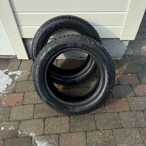 2 Stk. Antares Grip 205/95 R16 91H Piggfrie vinterdekk