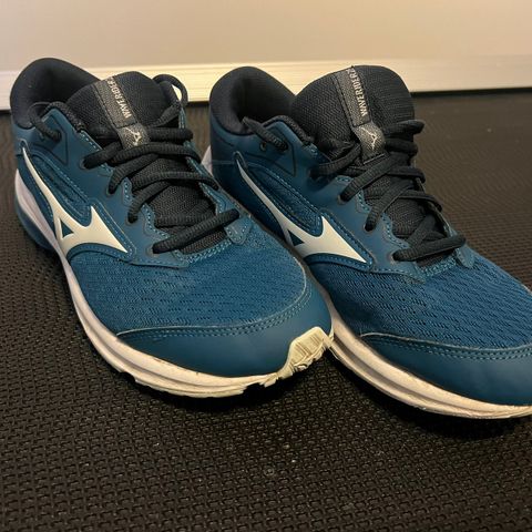 Mizuno Wave Rider 25 str 39