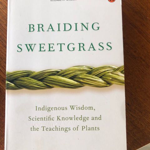 Braiding sweetgrass av Robin Wall Kimmerer