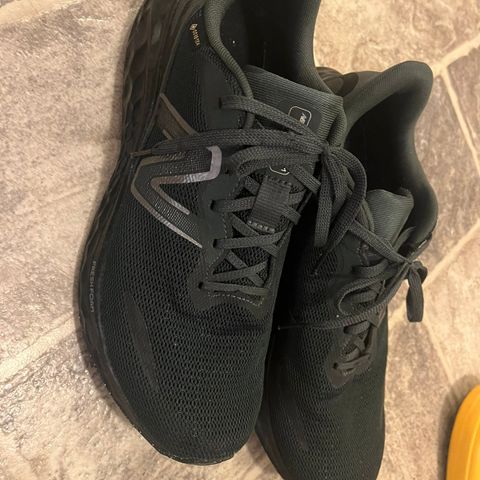 New Balance Fresh Foam Arishi V4, str. 45