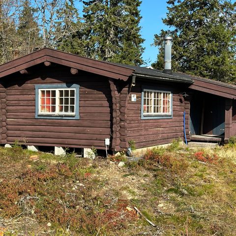 Solid Laftekasse (håndlaft),  Trysil - selges mot henting og demontering