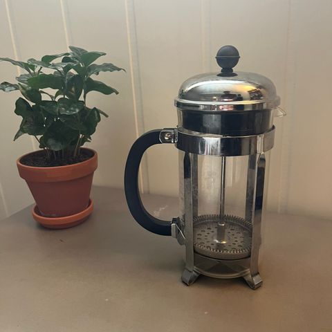 Bodum Presskanne/French Press