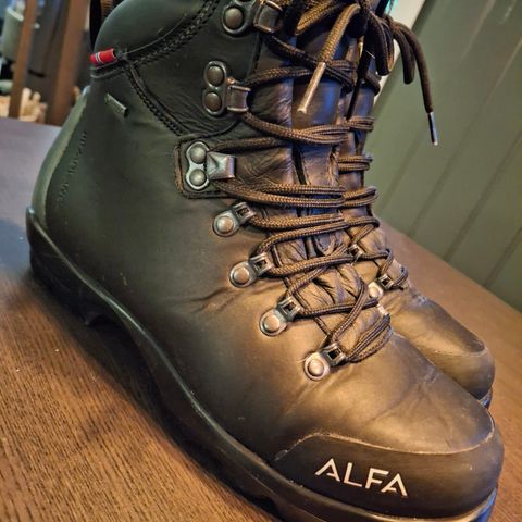 Skisko Alfa BC advance gtx w 38