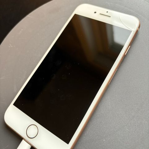 iPhone 8 - 256GB