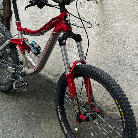 Specialized  downhill sykkel