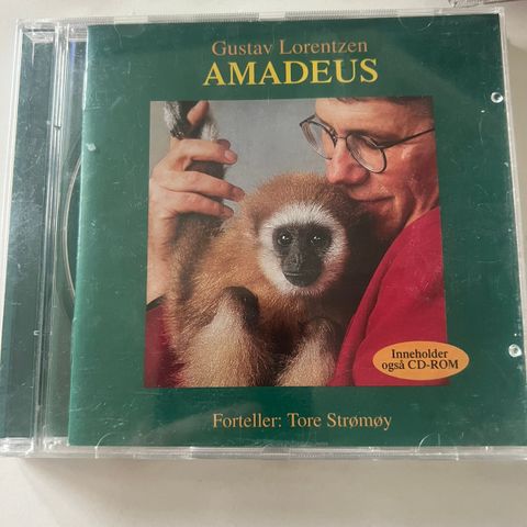 Gustav Lorentzen - Amadeus