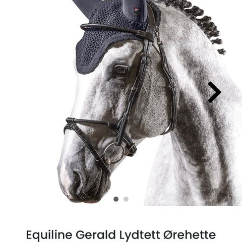 Equiline Gerald Lydtett Ørehette full sort