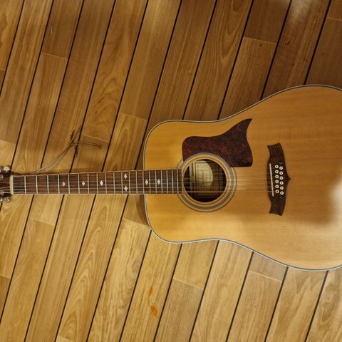 Tanglewood 12-strengers - gitar