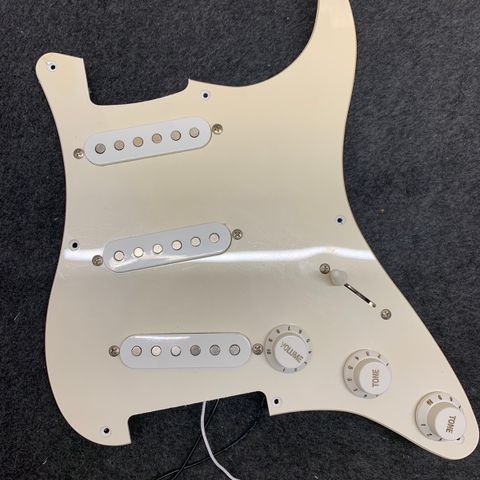 Loaded pickguard