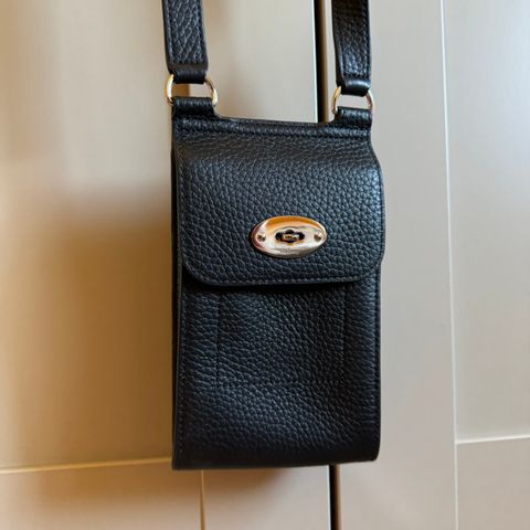 Mulberry antony mini