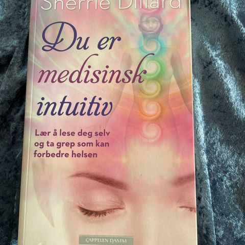 Bok - Du er medisinsk intuitiv - Sherrie Dillard