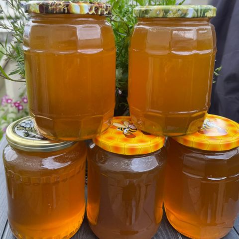 5 kg Årets Kaldslyngete Honning – Nylig Høstet! 🍯