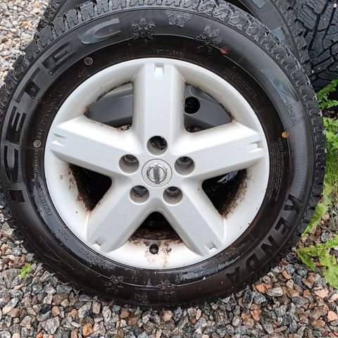 Piggfrie Vinterdekk 215/65R16