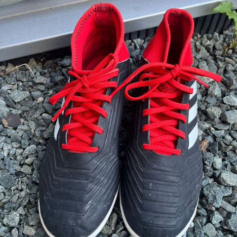 Adidas predator futsal sko str 36 1/3