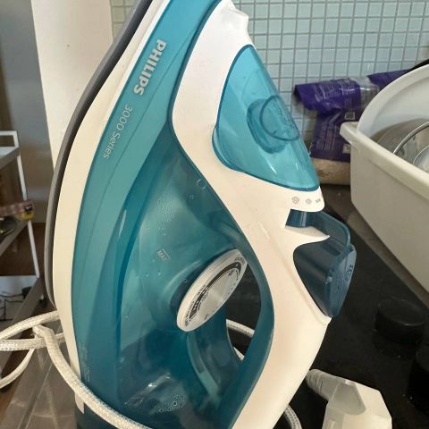 Steam iron