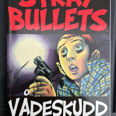 Stray Bullets