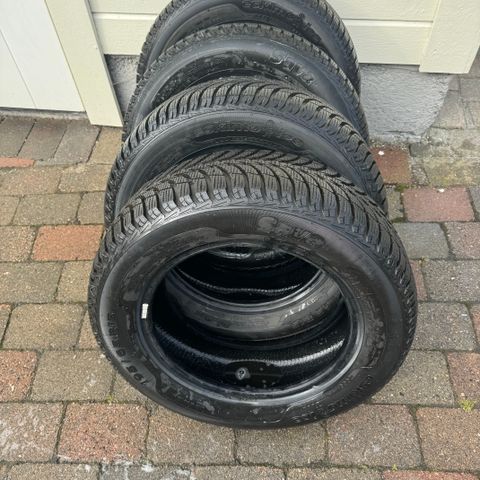 Sava Eskimo Ice 195/65 R16 95 T